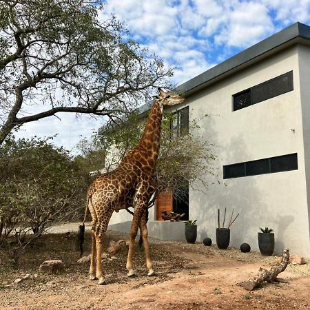 Willa Birdsong Kruger Marloth Park Zewnętrze zdjęcie