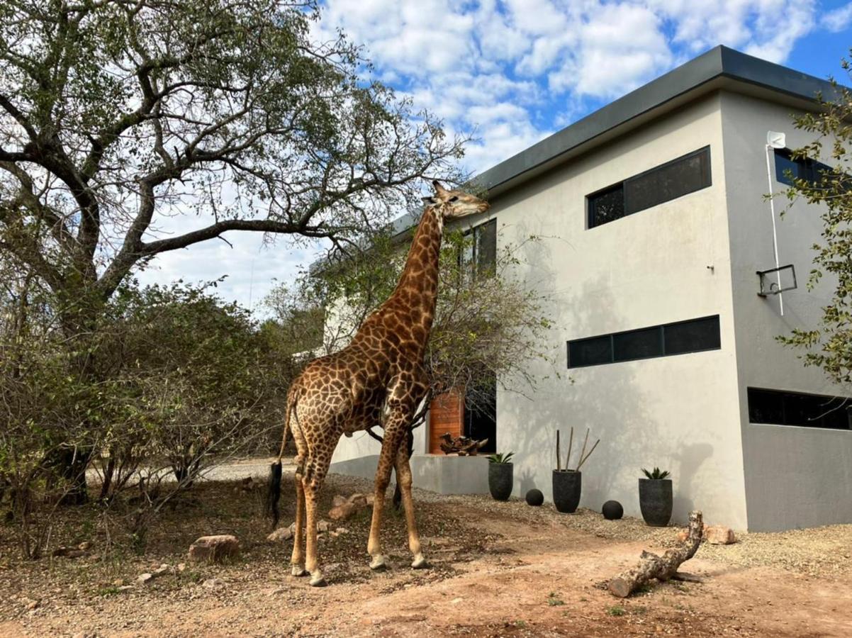 Willa Birdsong Kruger Marloth Park Zewnętrze zdjęcie